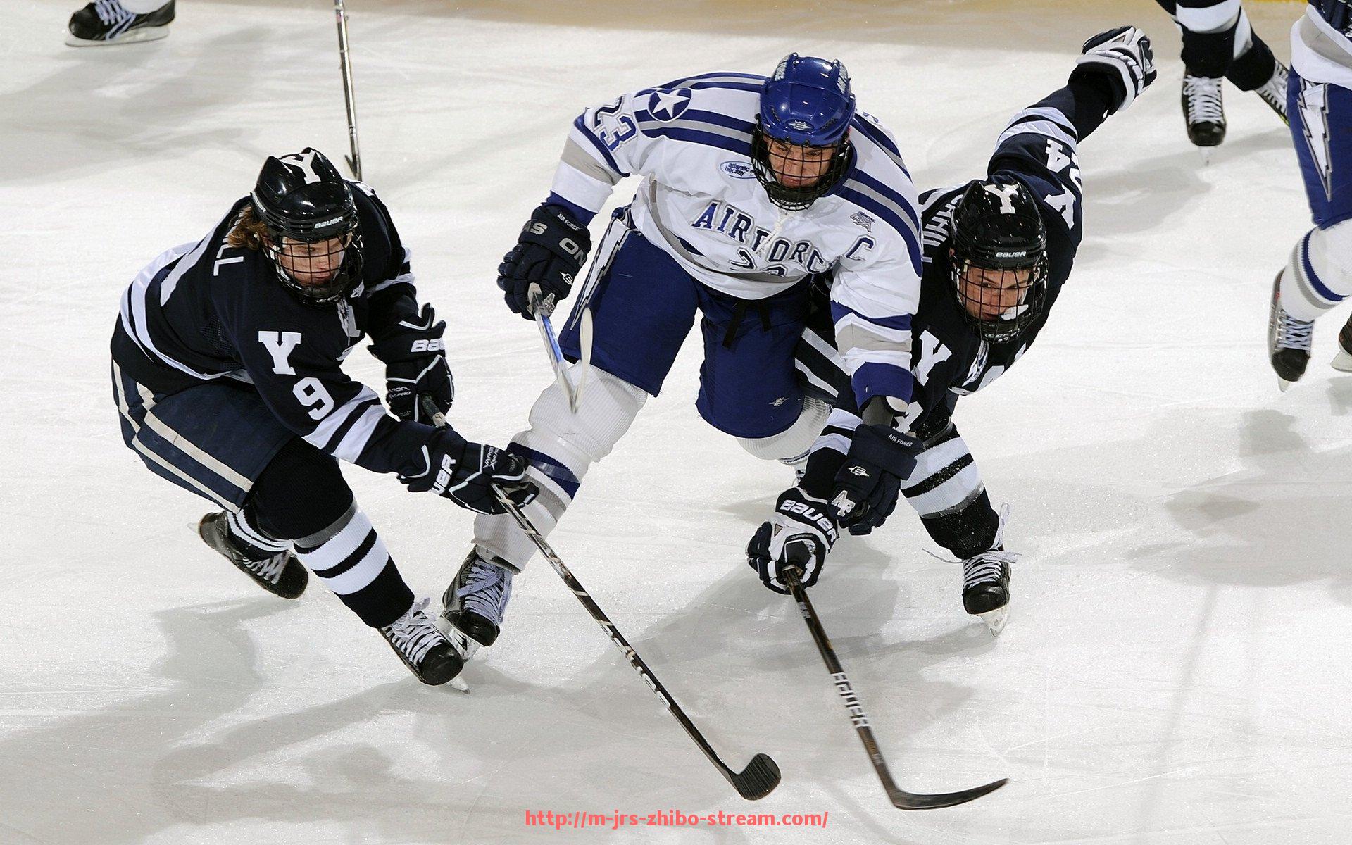 jrs直播-健身器材史密斯品牌介绍及产品性能综合评测